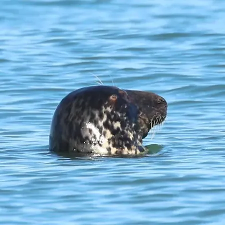 Maison De Charme Avec Vue Sur - - 80 M² - Jardin Holiday home