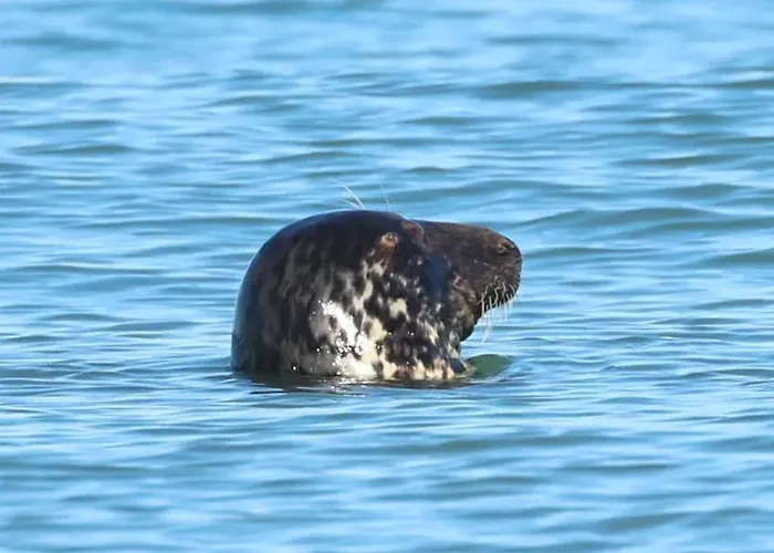 Maison De Charme Avec Vue Sur - - 80 M² - Jardin Holiday home